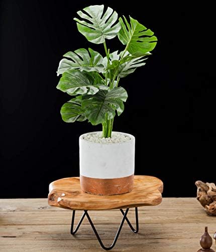 Дървена поставка TJ Global Natural Edge с крака-фиби за демонстрация на Торти, Растения, Свещи, Декор (L9 x