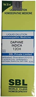 SBL Развъждане Daphne Indica 12 чаена лъжичка.