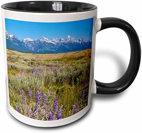 Планински хребет 3dRose Grand Tetons, Джаксън Хоул, Уайоминг-US51 BBA0022-Оцветен чаша Bill Bachmann, 11 грама,