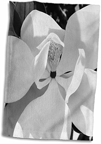 Кърпи 3dRose Florene Black n White - Magnolia B (n) W - (twl-19991-1)