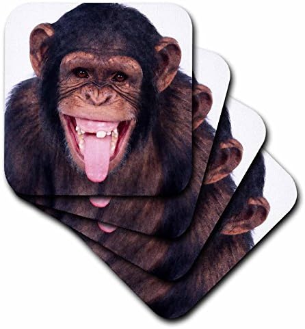 Поставка за смеющейся обезьянки 3dRose TNMGraphics, Мека, Комплект от 4