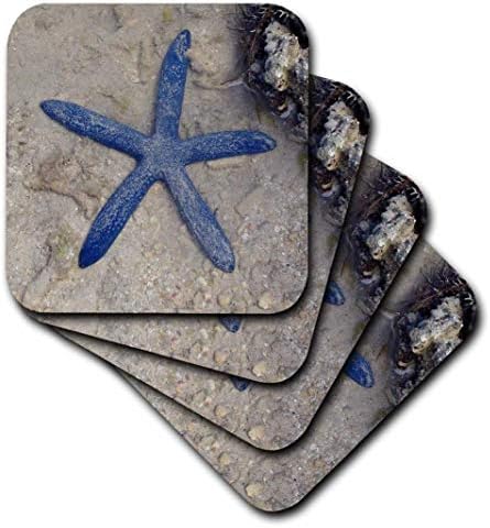 3dRose CST_22794_2 Рядка синята морска звезда Морски звезди във водите на острова Malolo Фиджи Меки подложки,