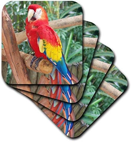 3dRose CST_34878_3 Поставка за керамични плочки с жив папагал в тропически дърво, Комплект от 4
